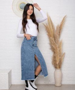 Alternative view of pollera nevado